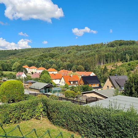 Ferienhaus Marx Sebnitz Ngoại thất bức ảnh