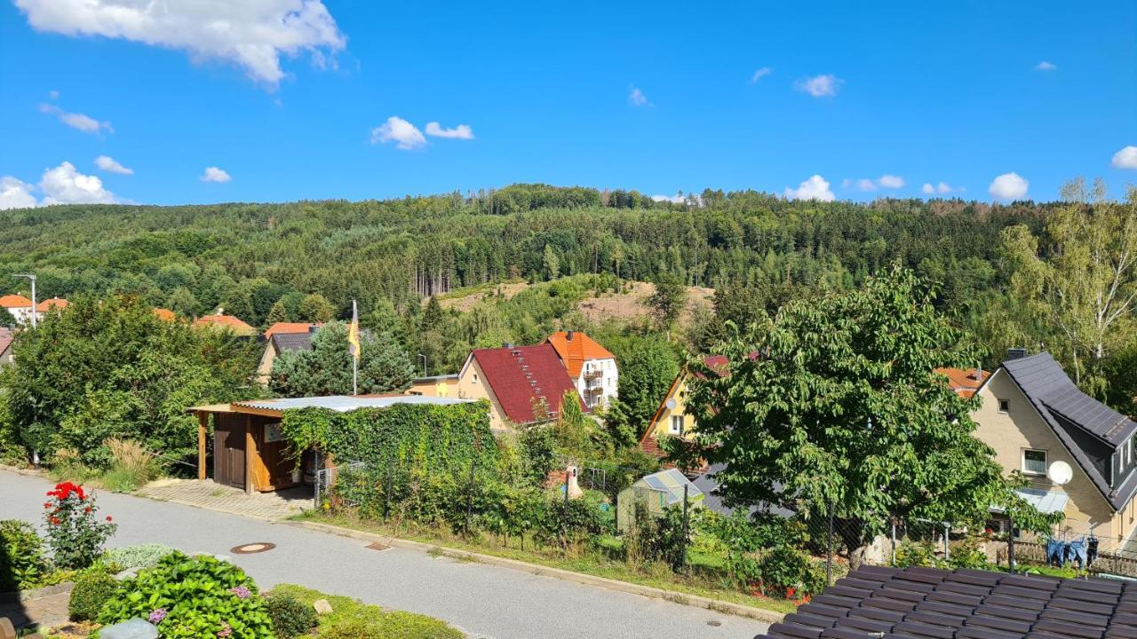 Ferienhaus Marx Sebnitz Ngoại thất bức ảnh