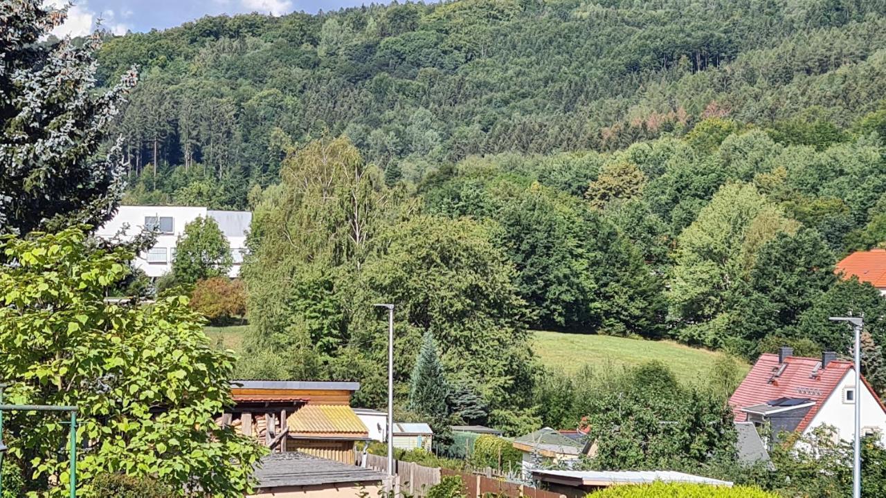 Ferienhaus Marx Sebnitz Ngoại thất bức ảnh